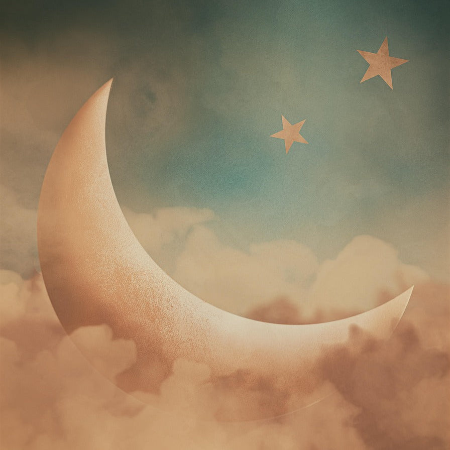 EC BOT - Sleep Quality Assessment
